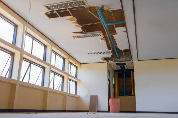 Best Flooded house restoration  in Dodge Center, MN