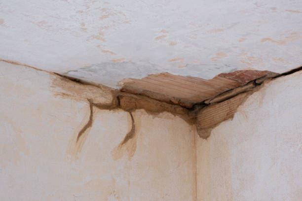 Water damage restoration mold remediation in Dodge Center, MN