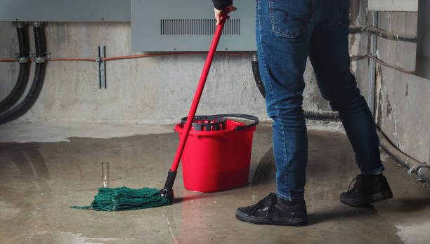 Water damage restoration insurance claims in Dodge Center, MN