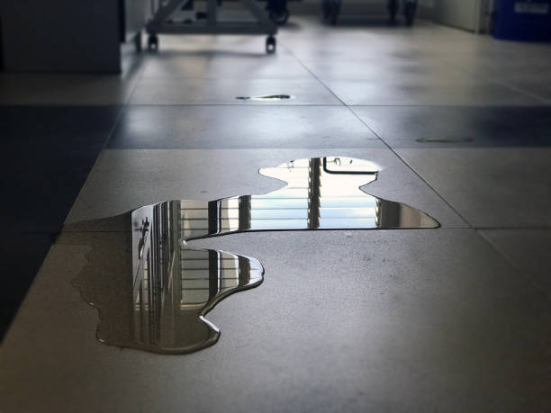 Best Water damage restoration services  in Dodge Center, MN