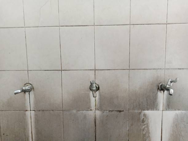 Best Professional water damage repair  in Dodge Center, MN