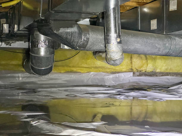 Best Flood restoration services  in Dodge Center, MN