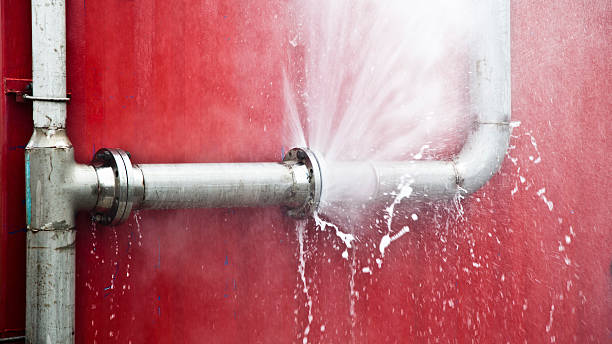 Best Basement water damage restoration  in Dodge Center, MN
